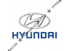 Автополе Hyundai